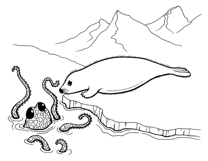 Seal And Sea Lion Island Of The Blue Dolphins Coloring Pages
