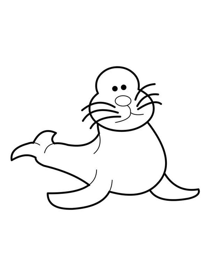 Seal Coloring Pages Filetypepdf