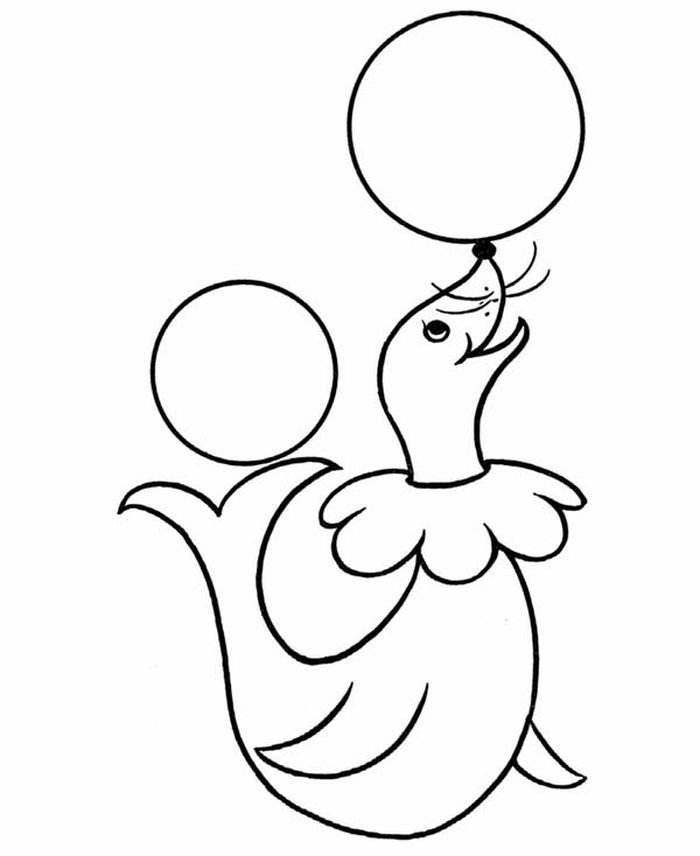 Seal Coloring Pages To Print