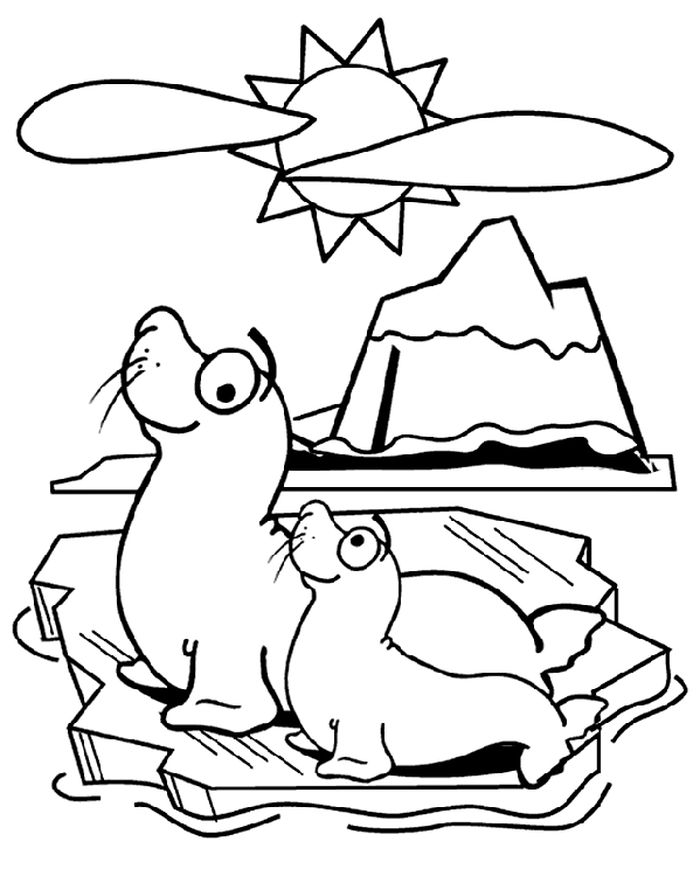 Seal Cute Baby Animal Coloring Pages For Kids