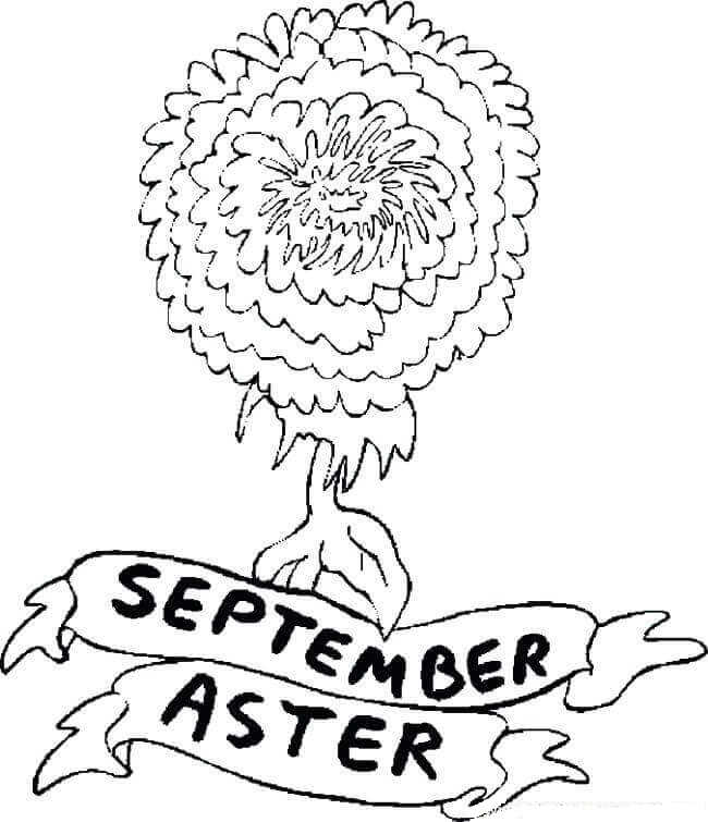 September Flower Coloring Page