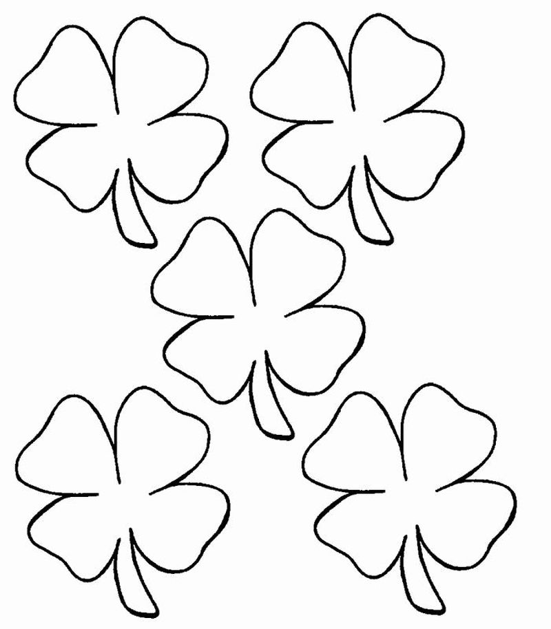 Shamrock Coloring Page For Preschool
