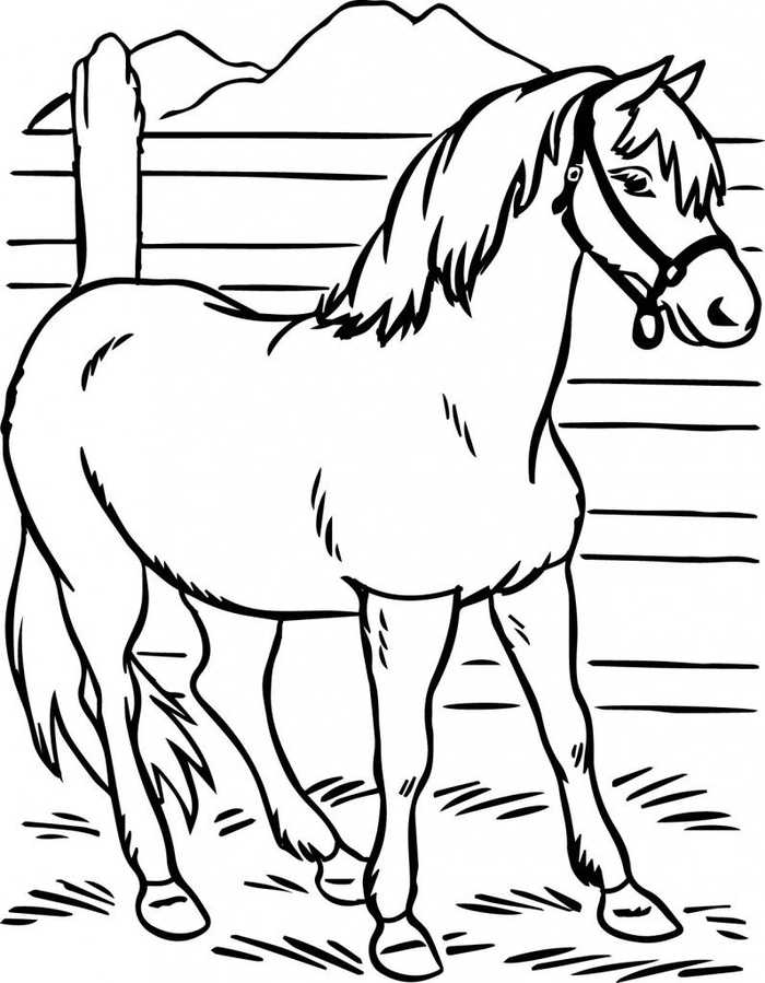 Simple Horse Coloring Page To Print