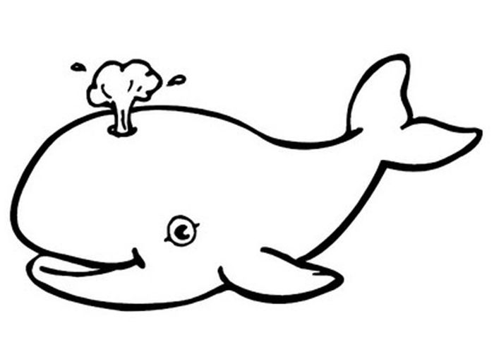 Smart Coloring Pages Whale