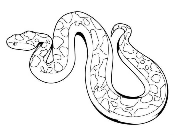 Snake Animal Coloring Page