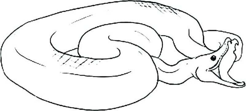 Snake Coloring Pages Cobra