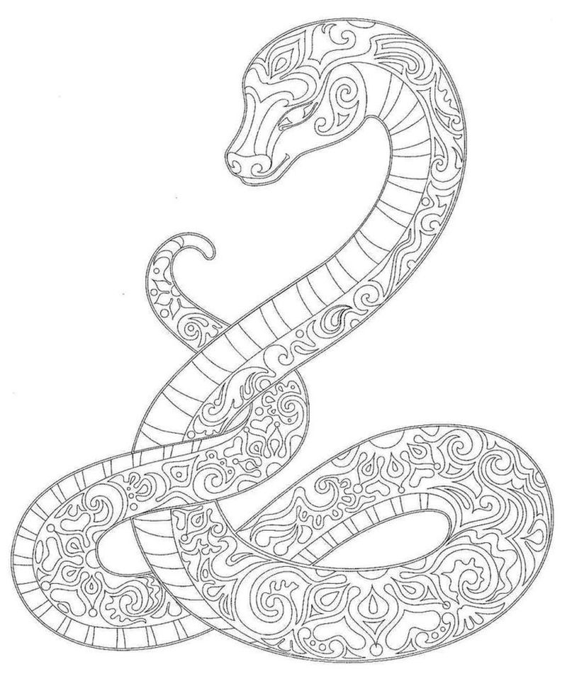 Snake Coloring Pages For Girls