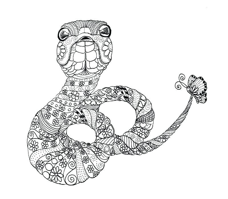 Snake Coloring Pages Free Printable