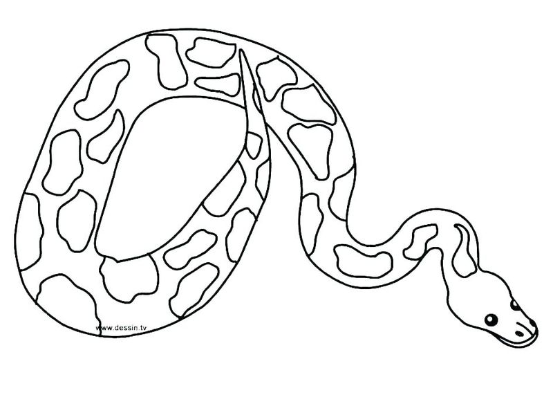 Snake Coloring Pages Free