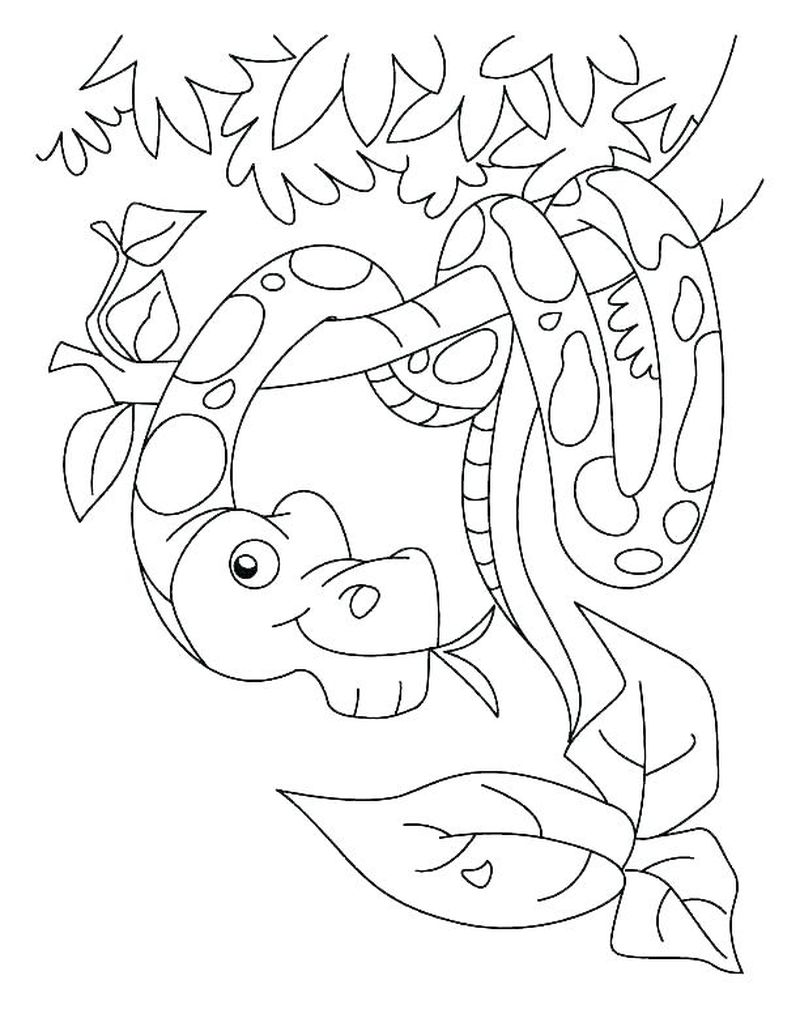 Snake Coloring Pages Hard