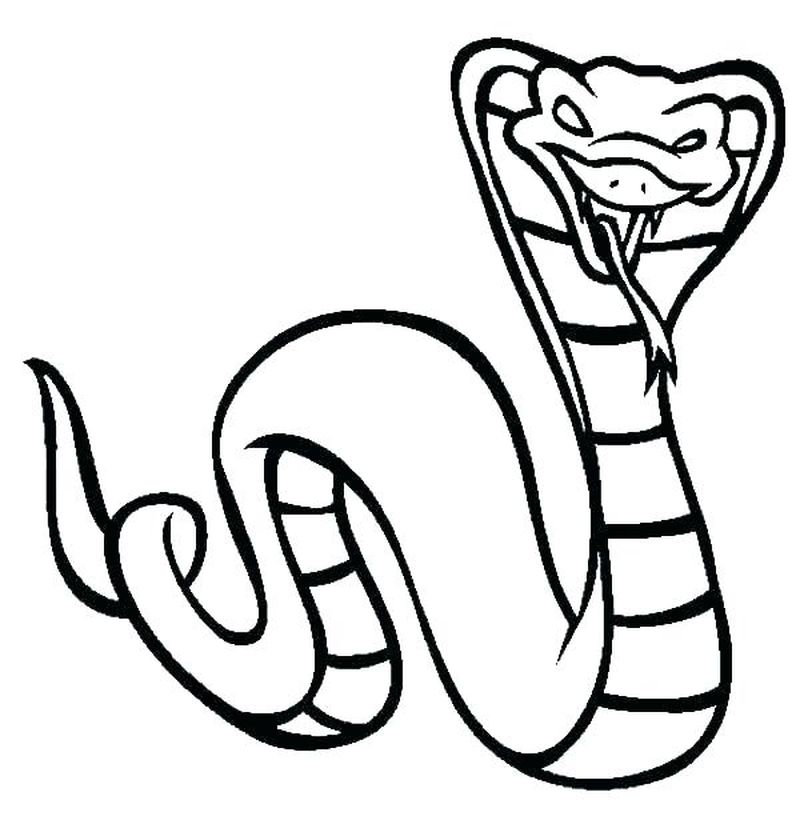 Snake Coloring Pages Png