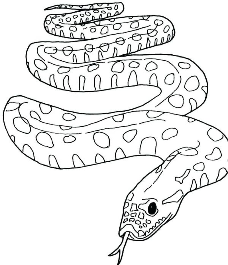 Snake Coloring Pages Preschool