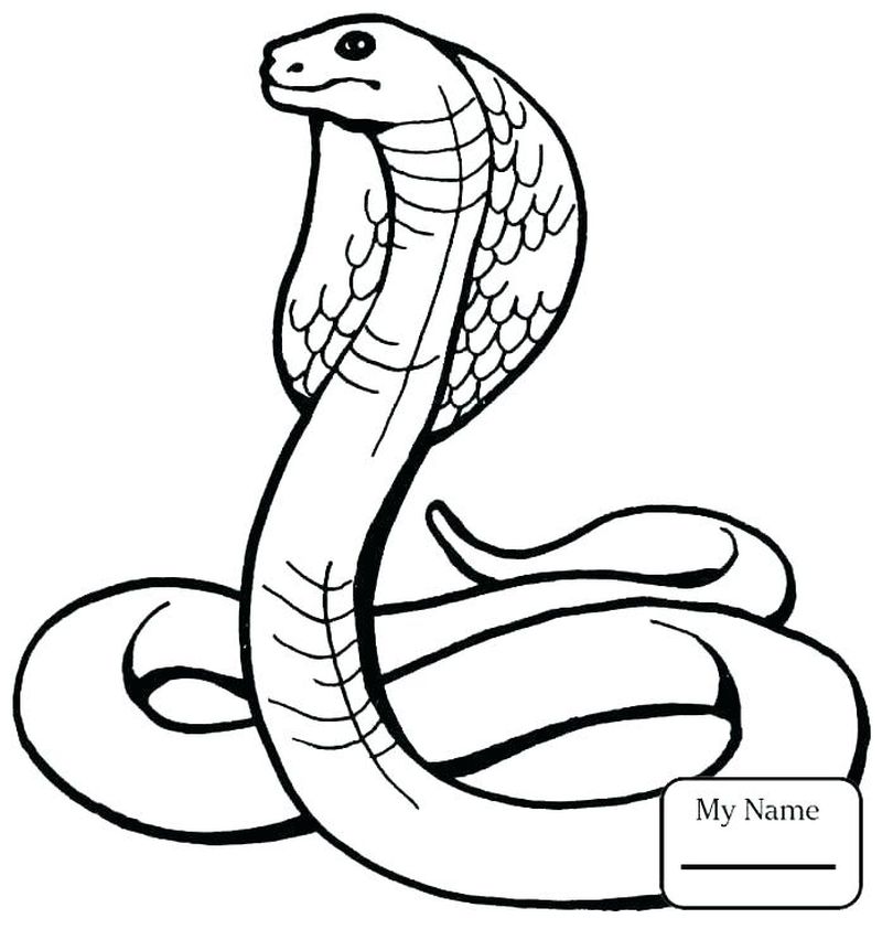 Snake Eyes Coloring Pages