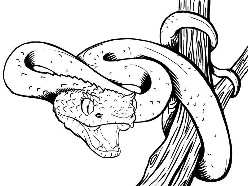 Snake Mandala Coloring Pages
