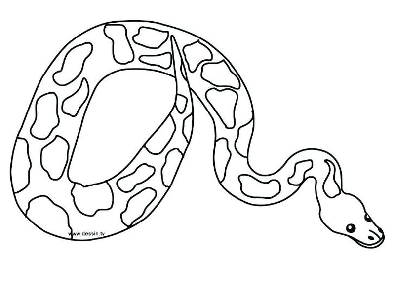 Snake Printable Coloring Pages