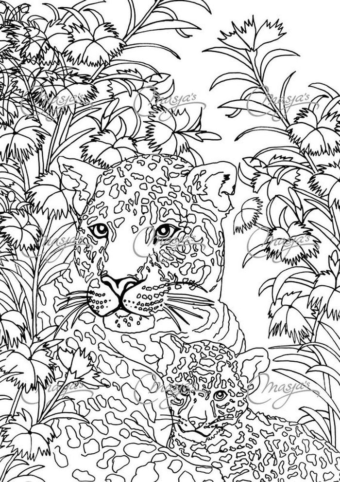 Snow Leopard And Baby Coloring Pages