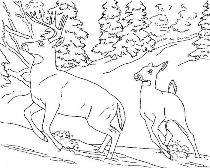 Snowy Landscape Coloring Page