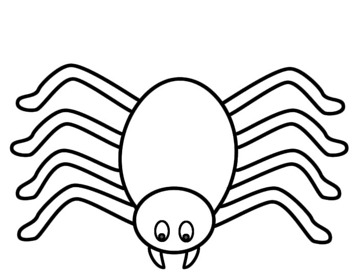 Spider Coloring Book Pages