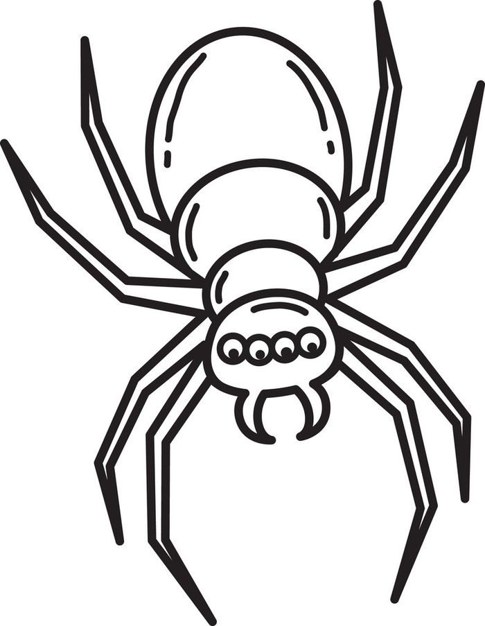 Spider Coloring Pages For Kids