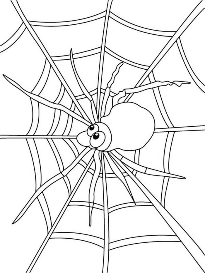 Spider Coloring Pages Print