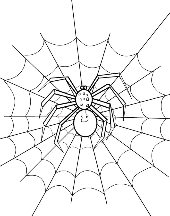 Spider Web Coloring Pages For Kids