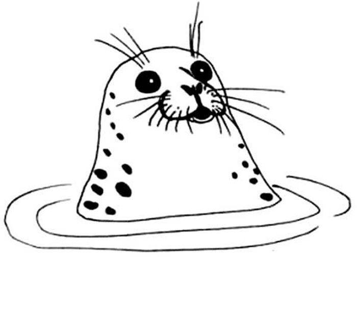 Spotted Seal Coloring Pages