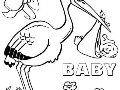 Stork And Newborn Baby Shower Coloring Page