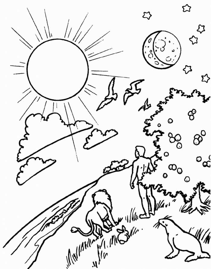 Sun Sky Garden Creation Coloring Pages