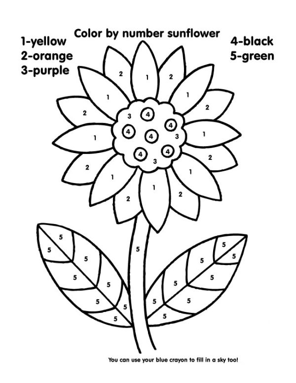 Sunflower Color By Number