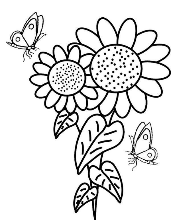 Sunflower Surrounded by Butterflies Coloring Page