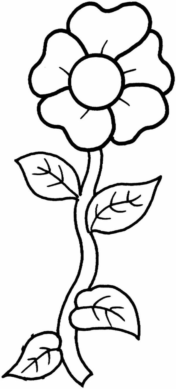 Sunflower floral coloring pages