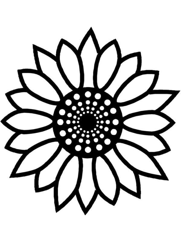 Sunflower summer coloring pages