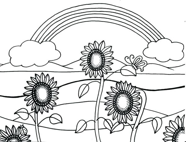 Sunflowers Easy Coloring Pages for Adults