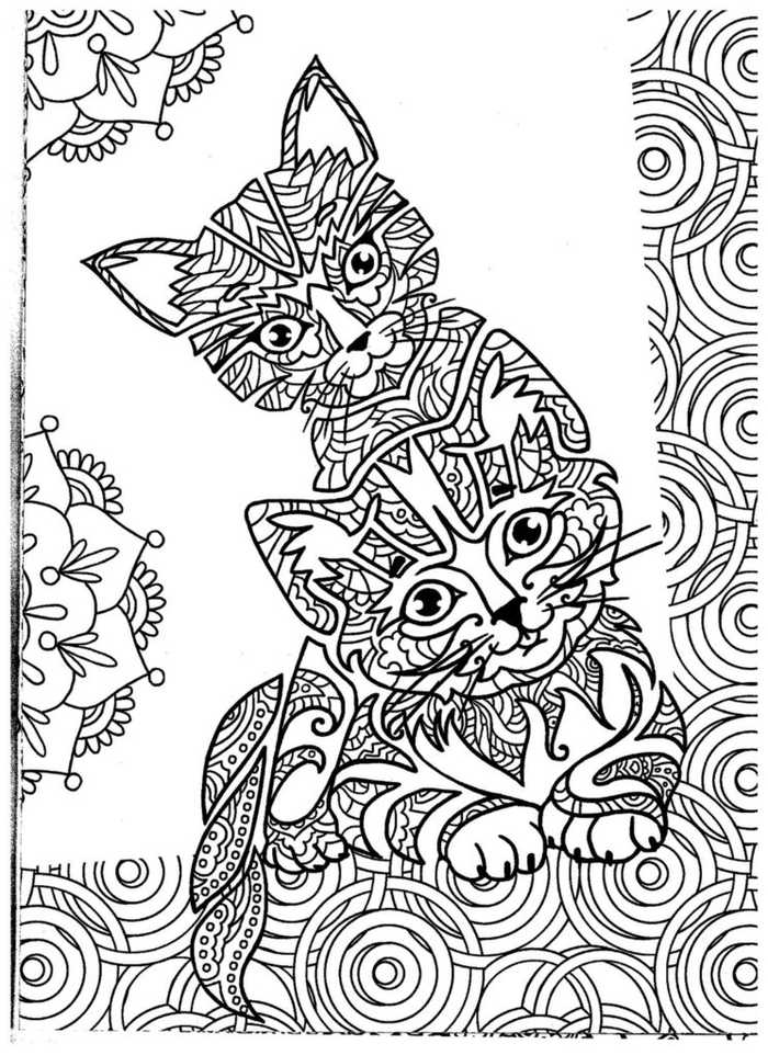 Sweet Zen Kittens Adult Coloring