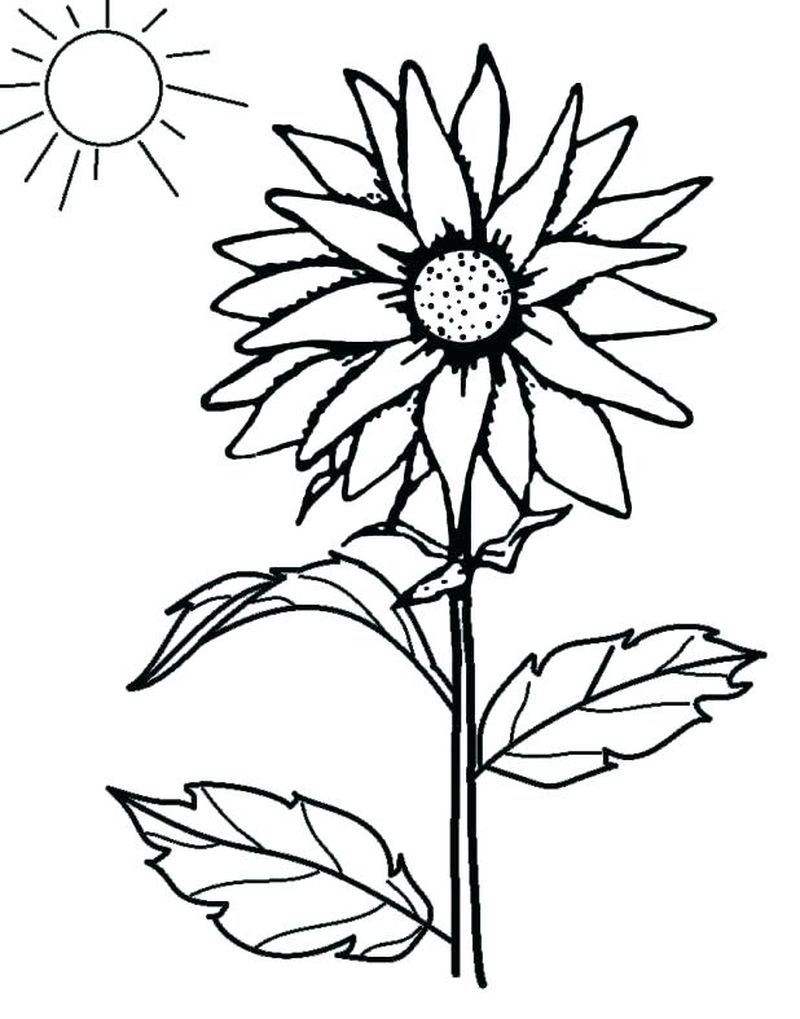The Sun Stood Still Coloring Page