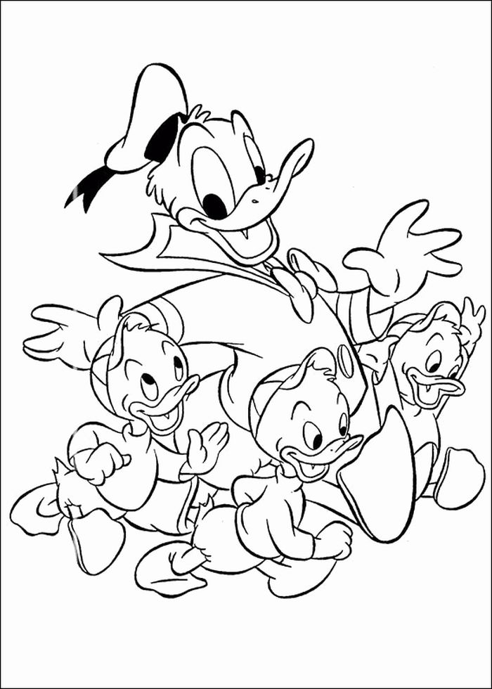Three Donald Duck Coloring Pages Kids