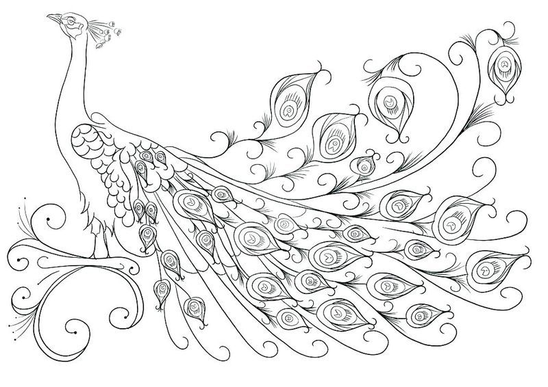 Three Hens And A Peacock Coloring Pages