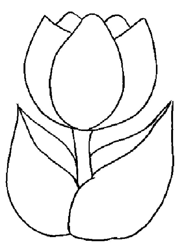 Tulip Coloring Pages To Print