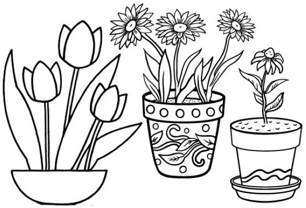 Tulip and Sunflower in Pot Coloring Page