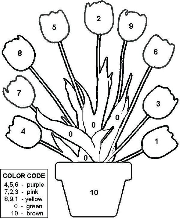 Tulips Color By Numbers