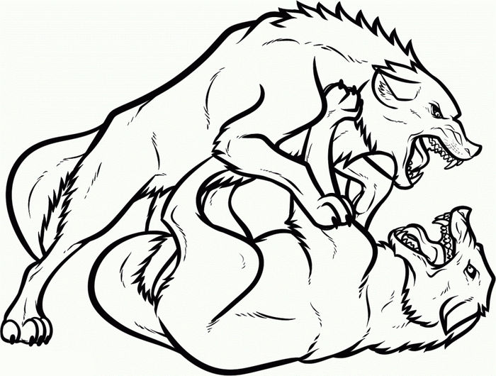 Two Wolves Coloring Pages For Adults