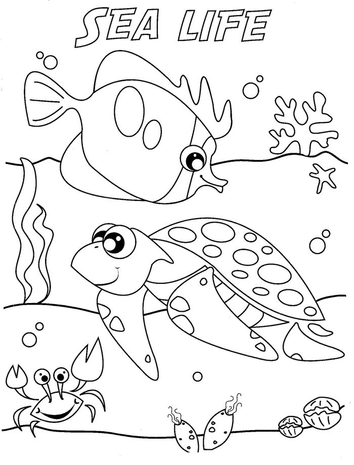 Unusual Sea Animals Coloring Pages