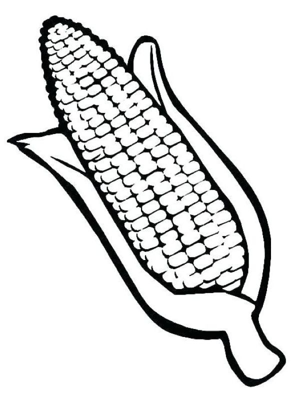 Vegetable Corn Coloring Page