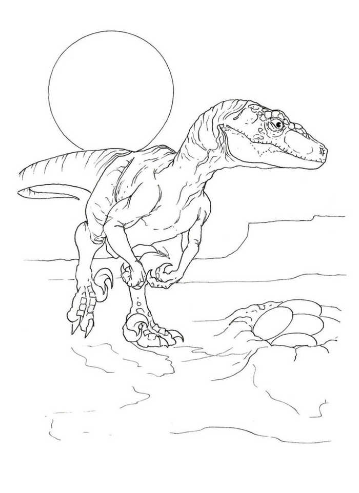Velociraptor Eggs Dinosaur Coloring Page