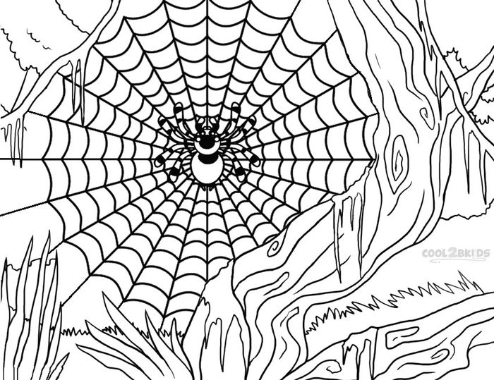 Very Busy Spider Coloring Pages