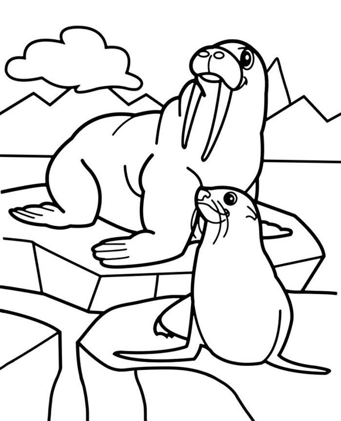 Walrus And Seal Coloring Pages
