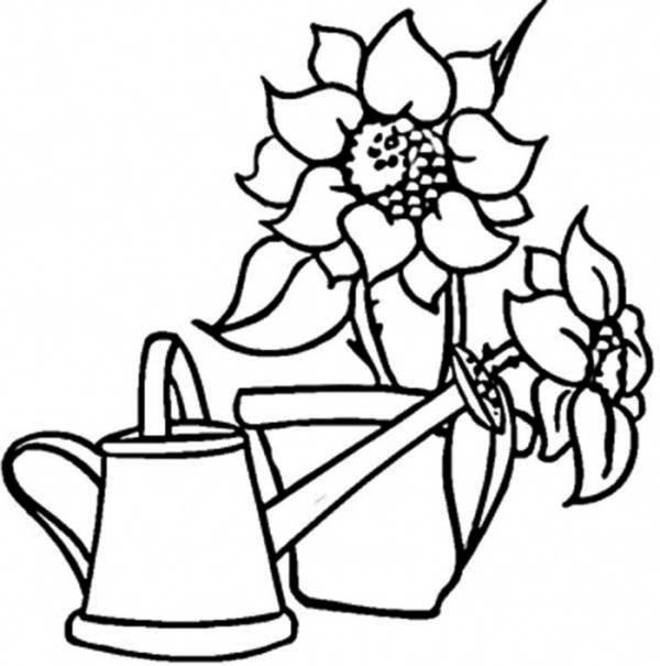 Watering Can And Sunflowers Coloring Page Coloring Sun