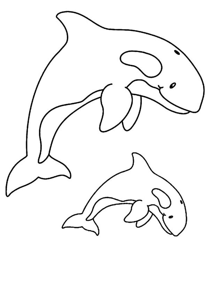 Whale Coloring Book Pages
