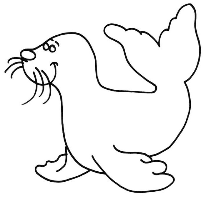 White Seal Coloring Pages