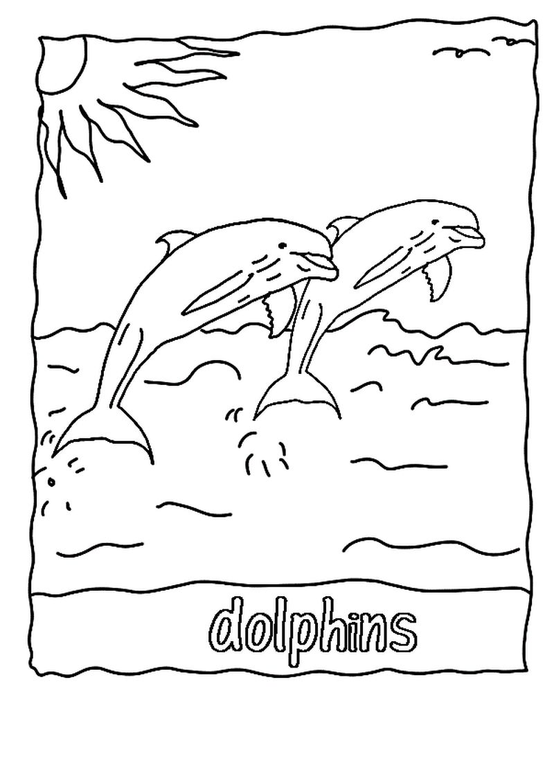 Winter The Dolphin Coloring Pages